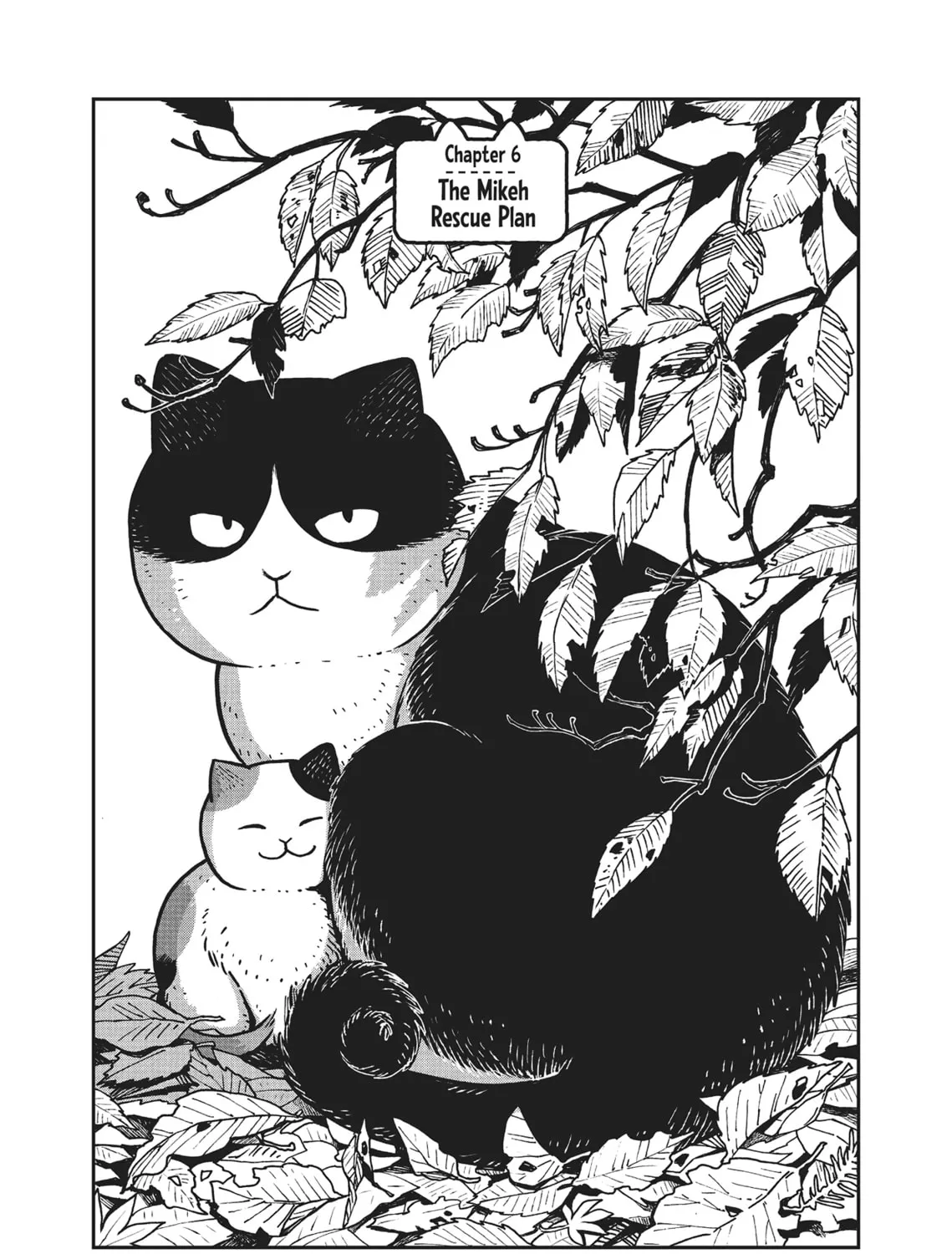 Cat Companions Maruru and Hachi Chapter 6 page 1 - 
