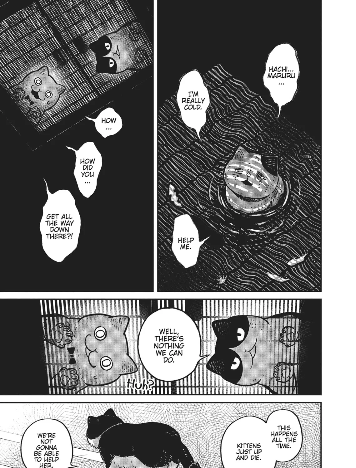 Cat Companions Maruru and Hachi Chapter 6 page 13 - 