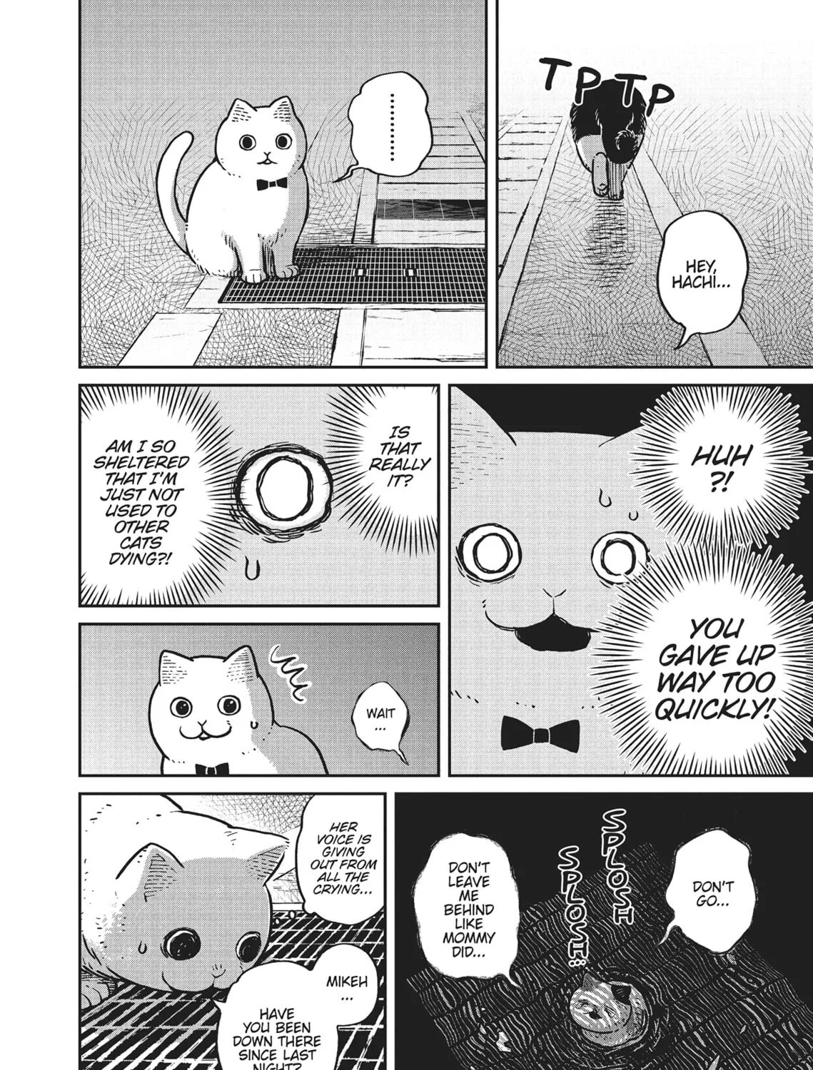Cat Companions Maruru and Hachi Chapter 6 page 15 - 