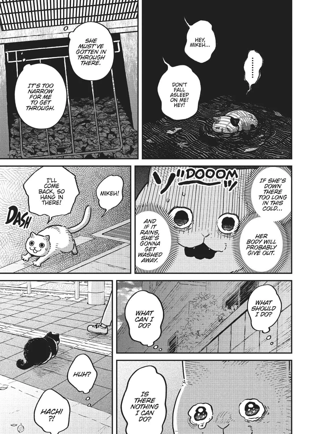 Cat Companions Maruru and Hachi Chapter 6 page 17 - 