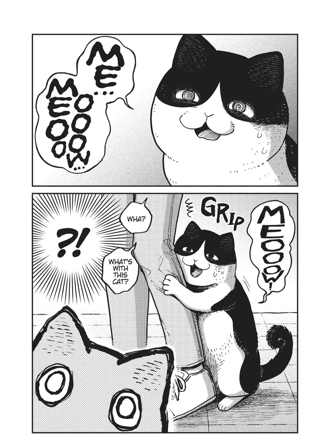 Cat Companions Maruru and Hachi Chapter 6 page 19 - 