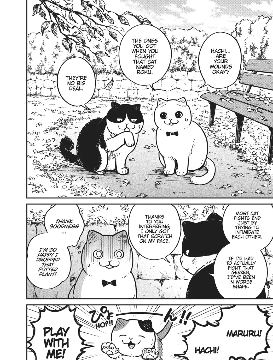 Cat Companions Maruru and Hachi Chapter 6 page 3 - 