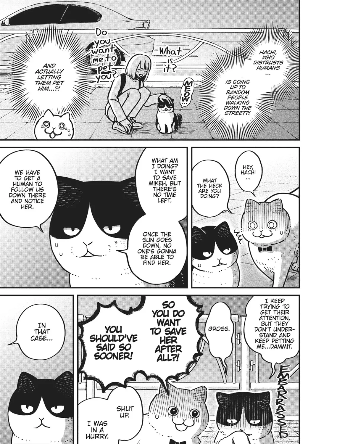 Cat Companions Maruru and Hachi Chapter 6 page 21 - 