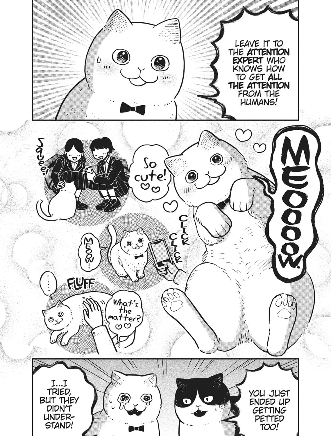 Cat Companions Maruru and Hachi Chapter 6 page 23 - 
