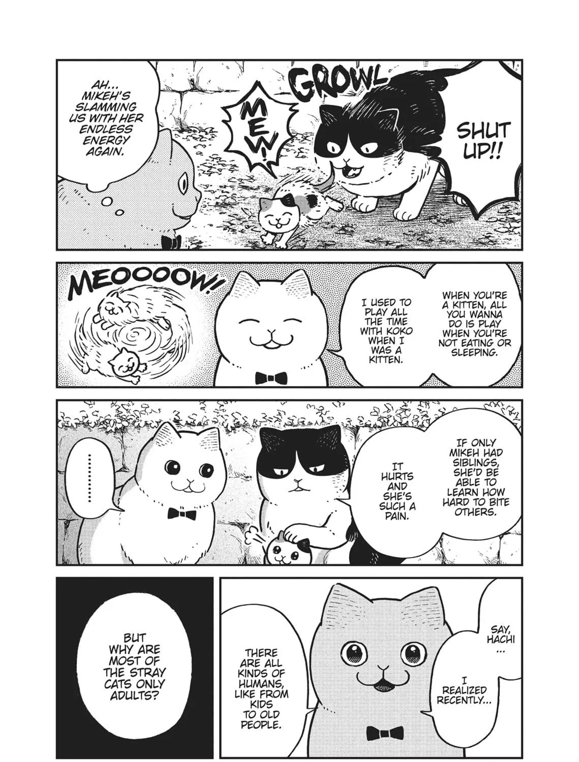Cat Companions Maruru and Hachi Chapter 6 page 5 - 