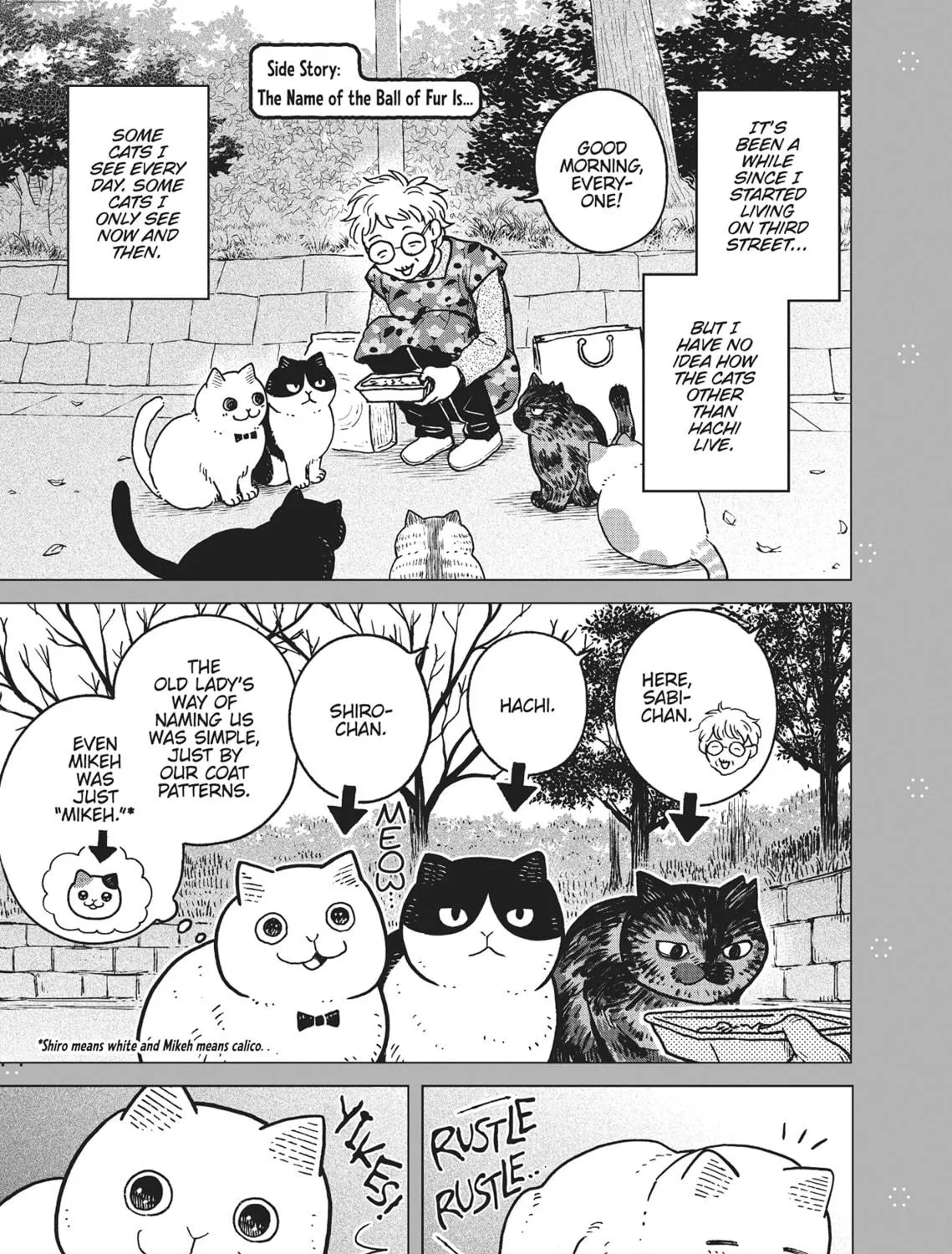 Cat Companions Maruru and Hachi Chapter 6 page 41 - 