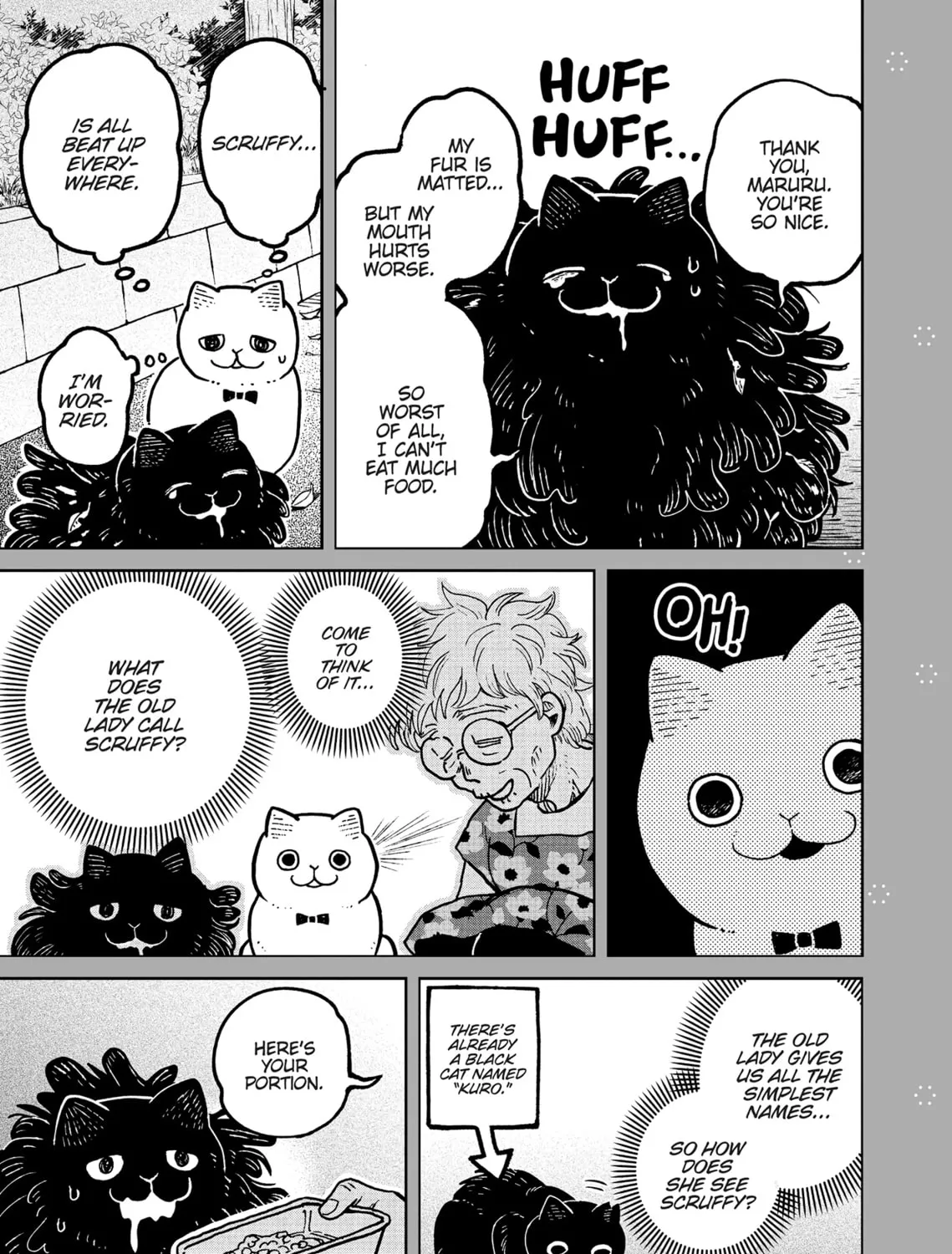 Cat Companions Maruru and Hachi Chapter 6 page 45 - 