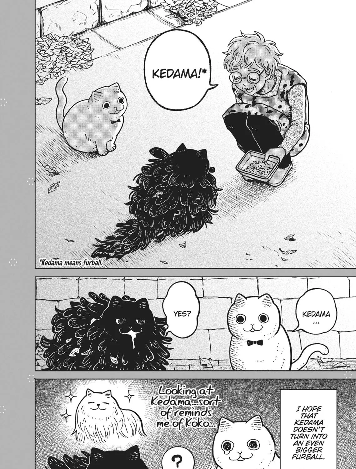 Cat Companions Maruru and Hachi Chapter 6 page 47 - 