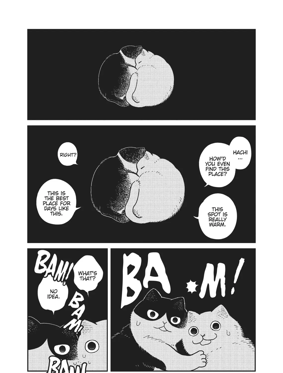 Cat Companions Maruru and Hachi Chapter 7 page 13 - 