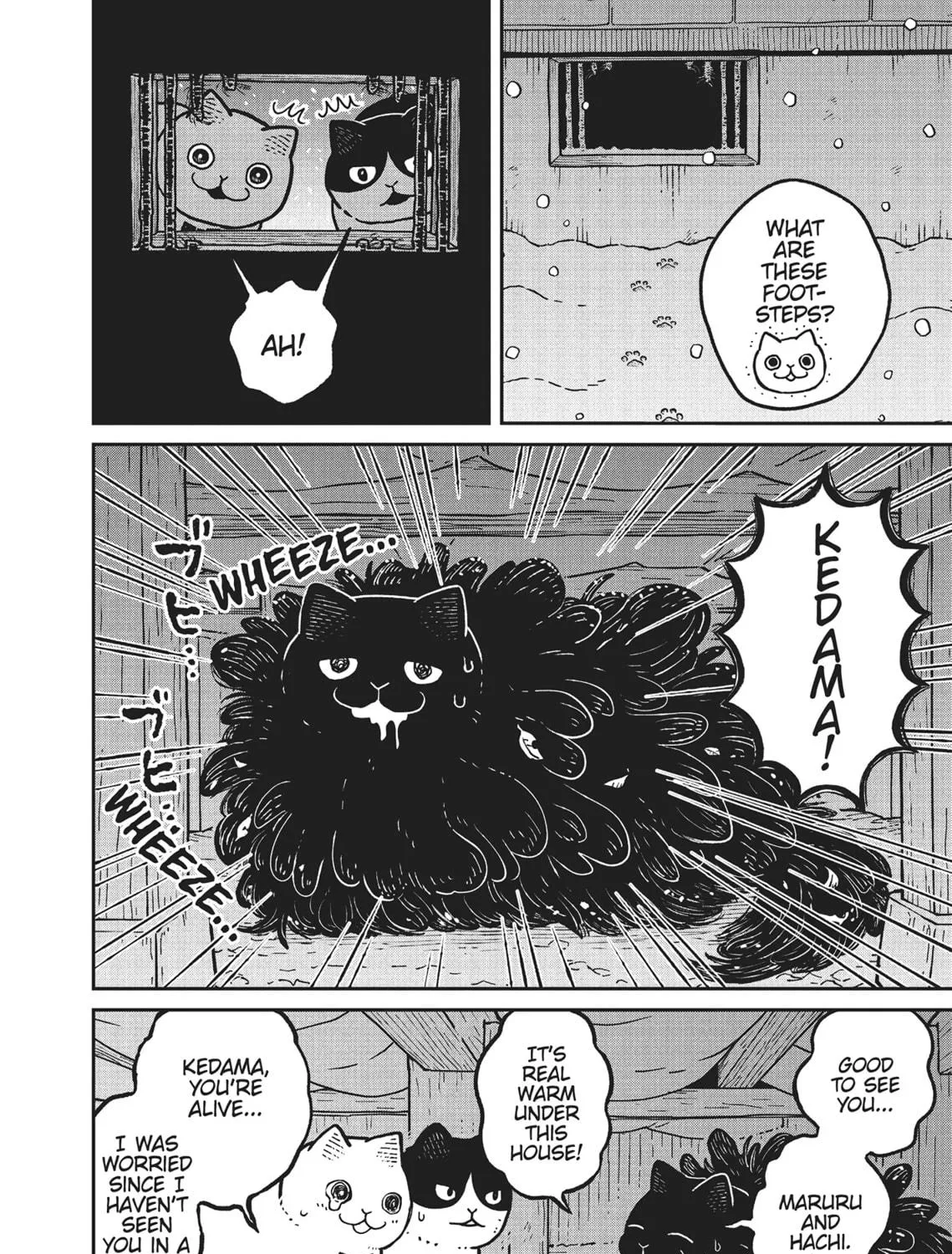Cat Companions Maruru and Hachi Chapter 7 page 19 - 