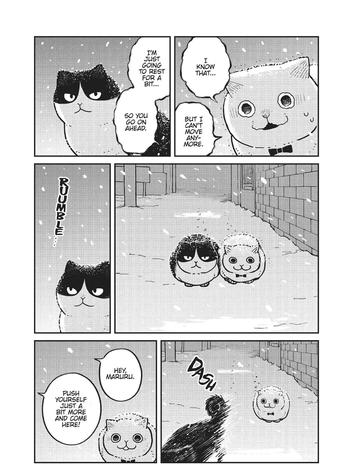Cat Companions Maruru and Hachi Chapter 7 page 5 - 