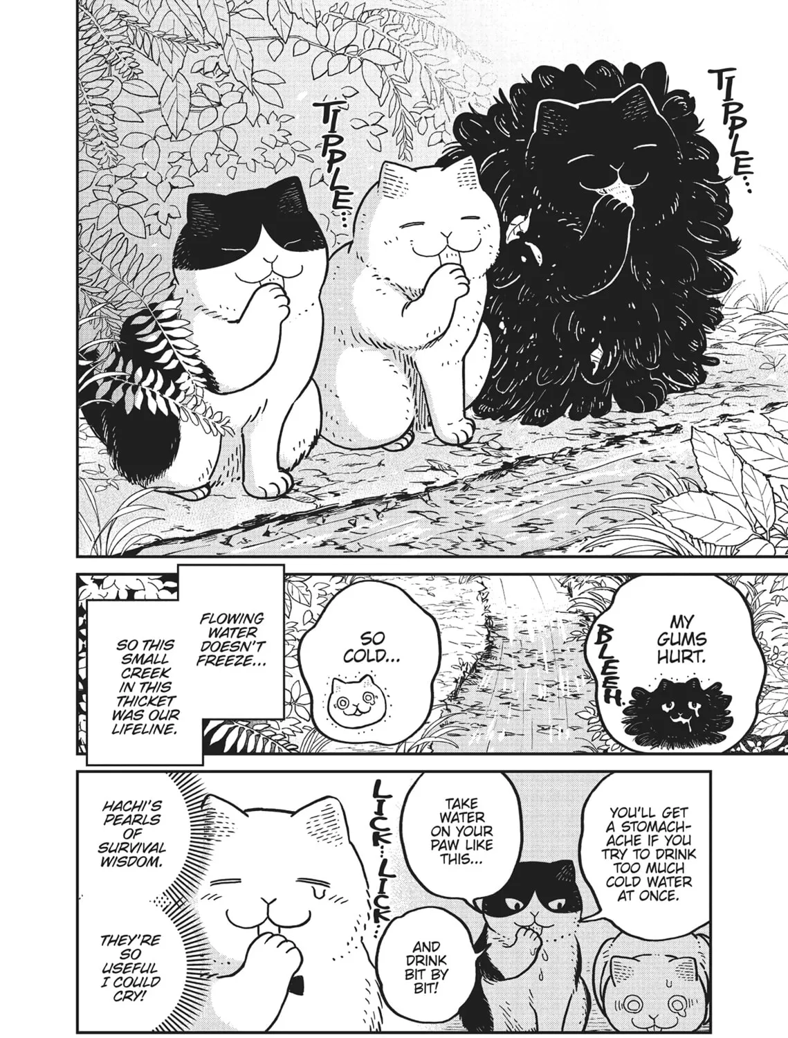 Cat Companions Maruru and Hachi Chapter 8 page 3 - 
