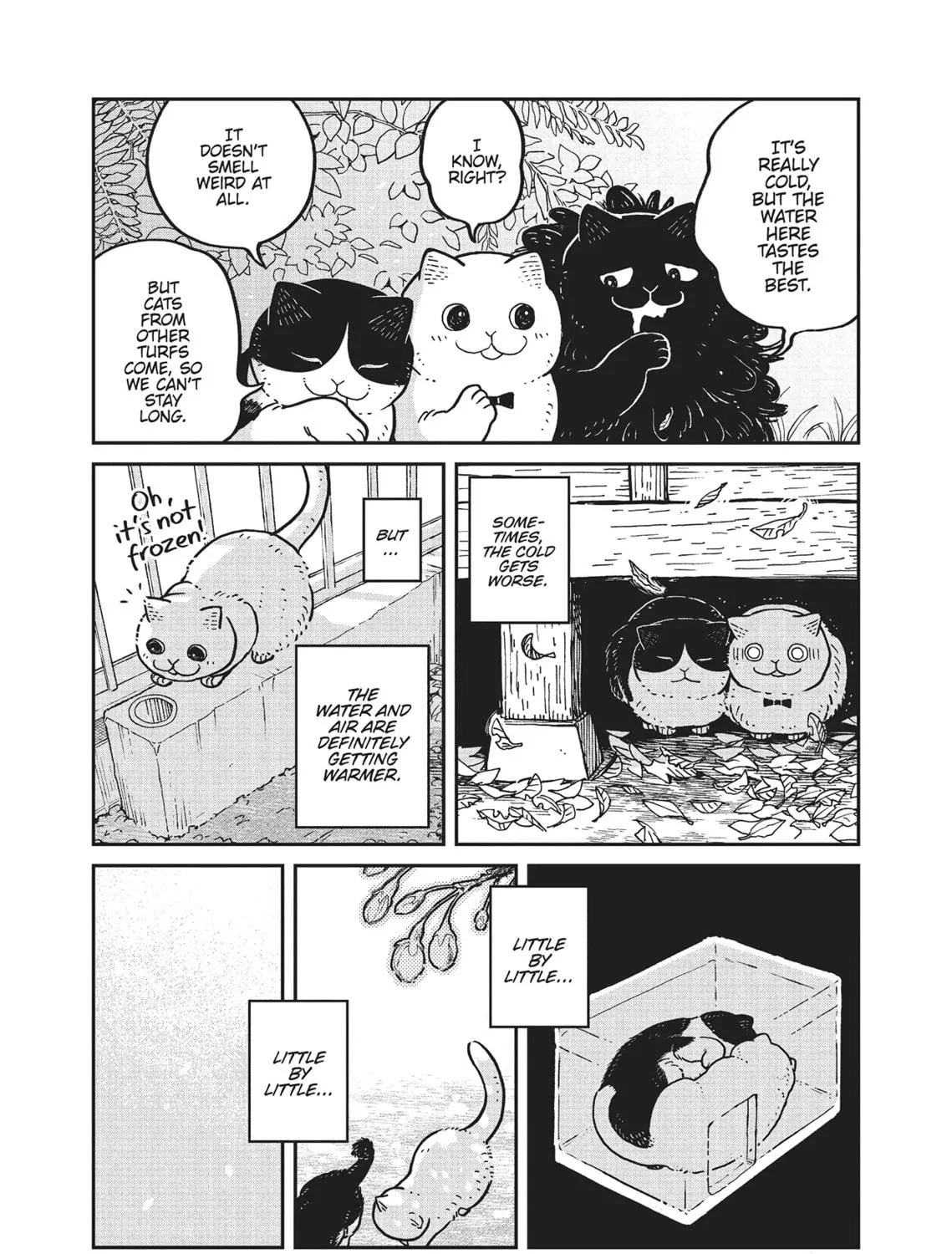 Cat Companions Maruru and Hachi Chapter 8 page 5 - 