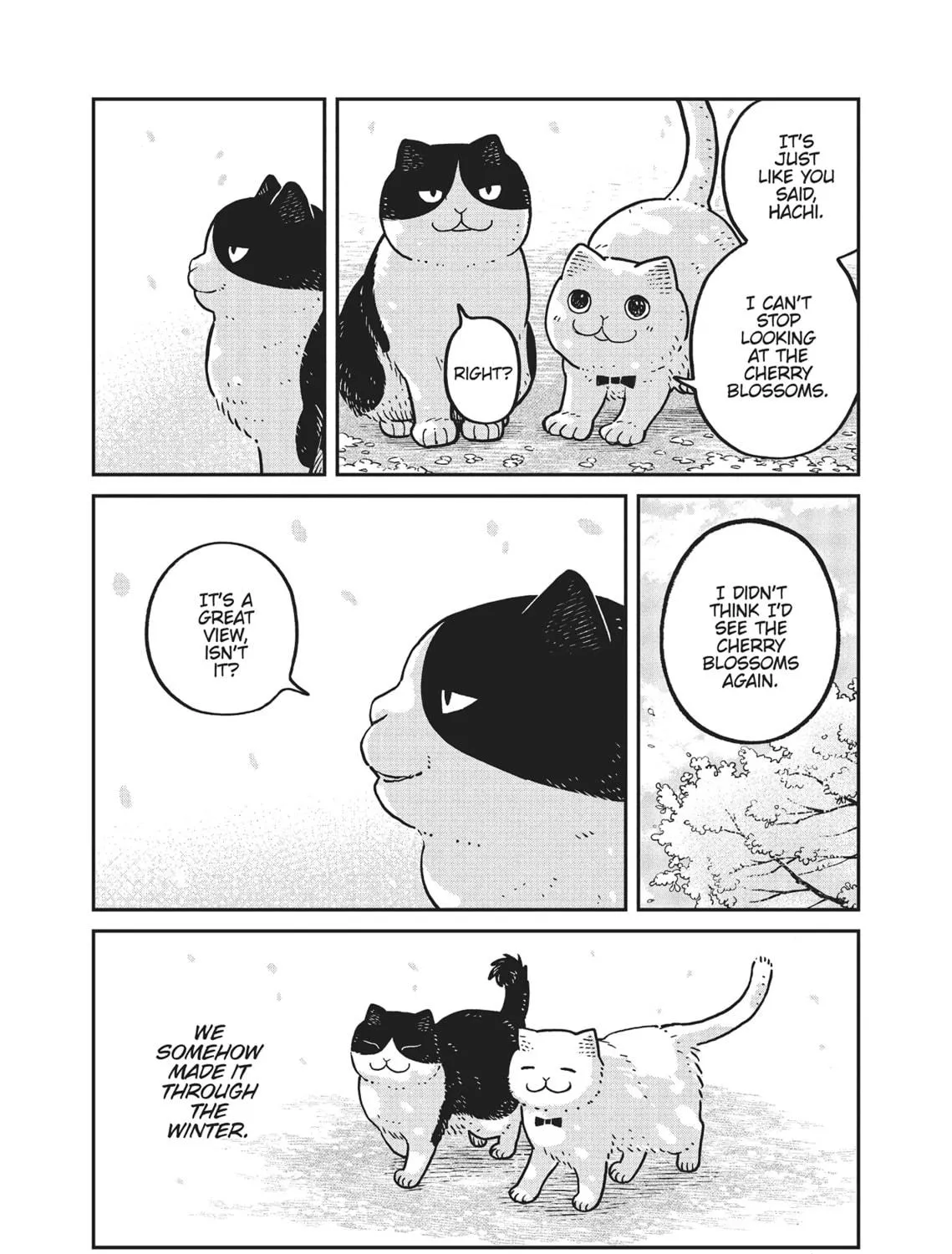 Cat Companions Maruru and Hachi Chapter 8 page 9 - 