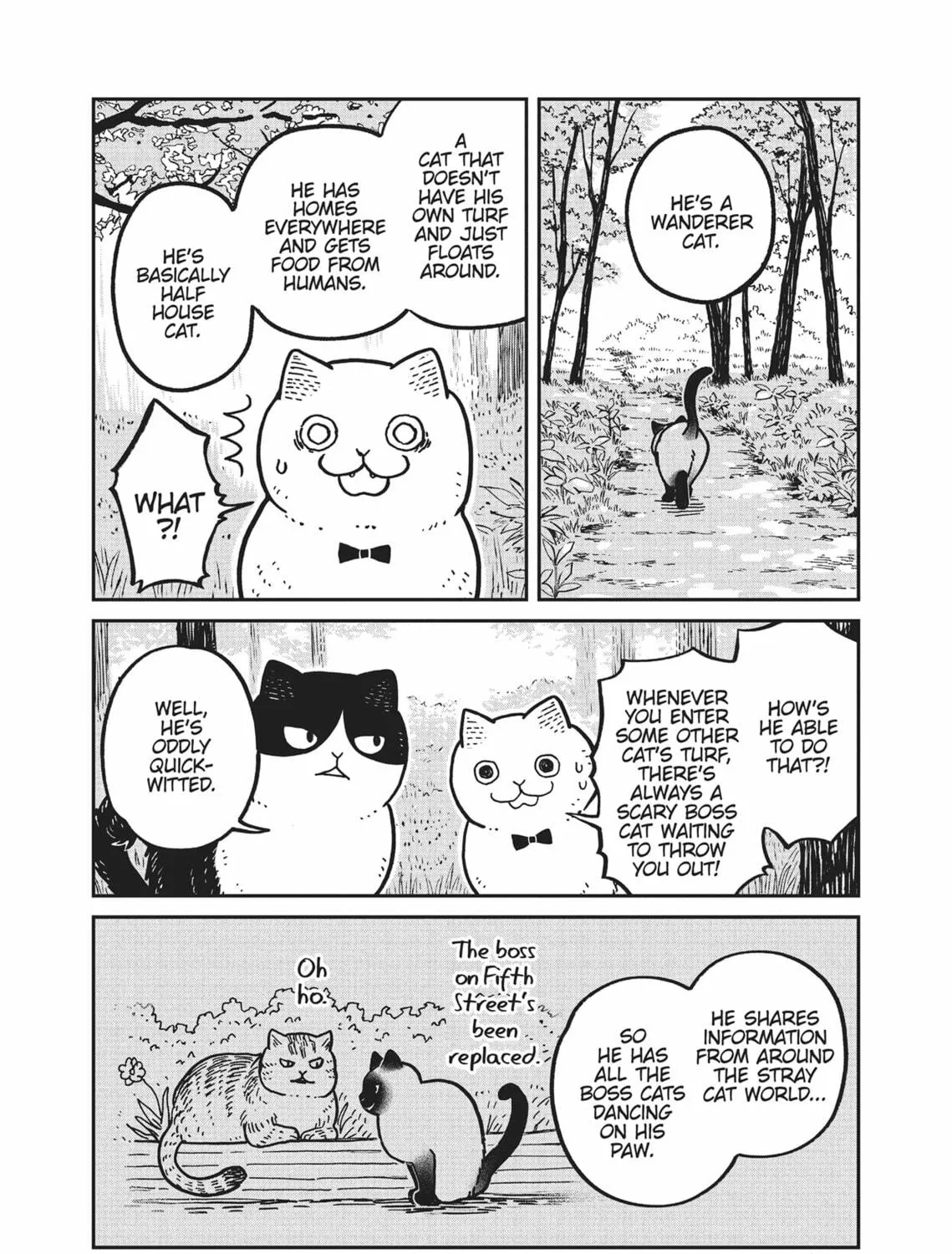 Cat Companions Maruru and Hachi Chapter 9 page 11 - 