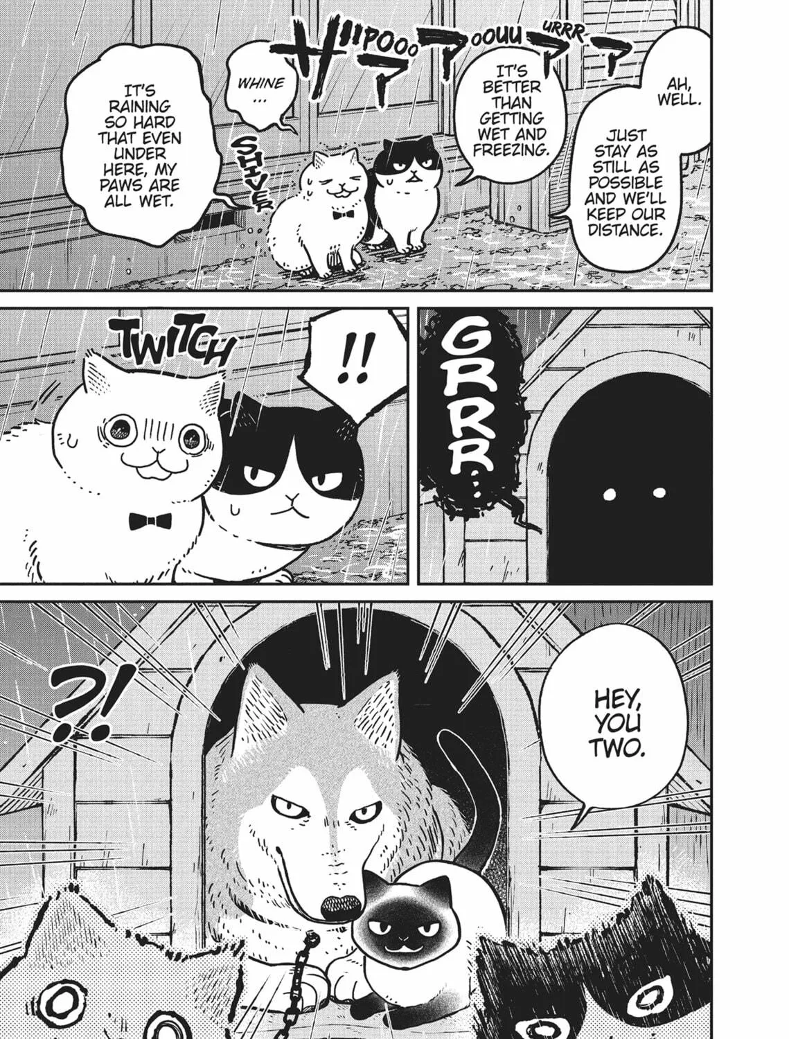 Cat Companions Maruru and Hachi Chapter 9 page 17 - 