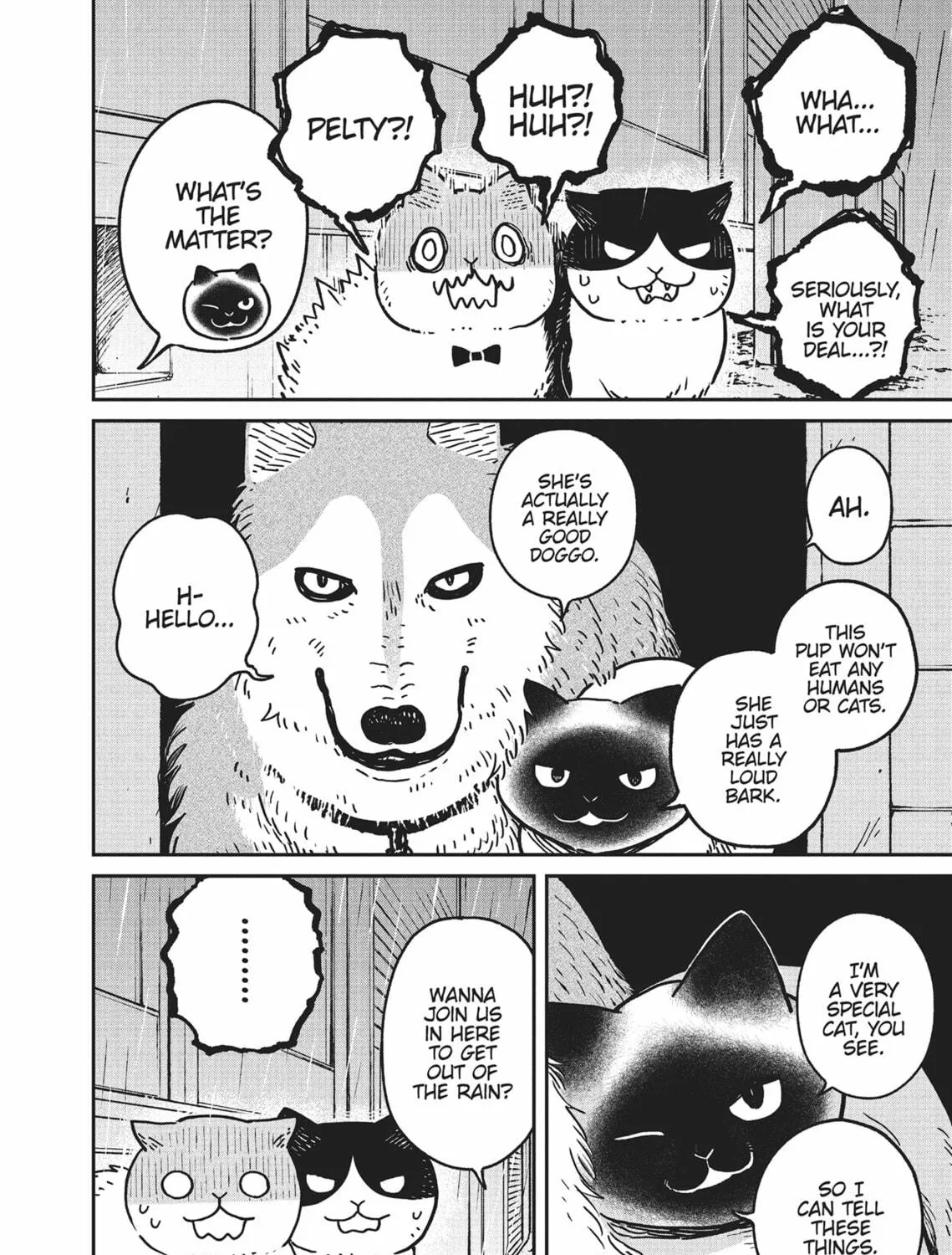 Cat Companions Maruru and Hachi Chapter 9 page 19 - 