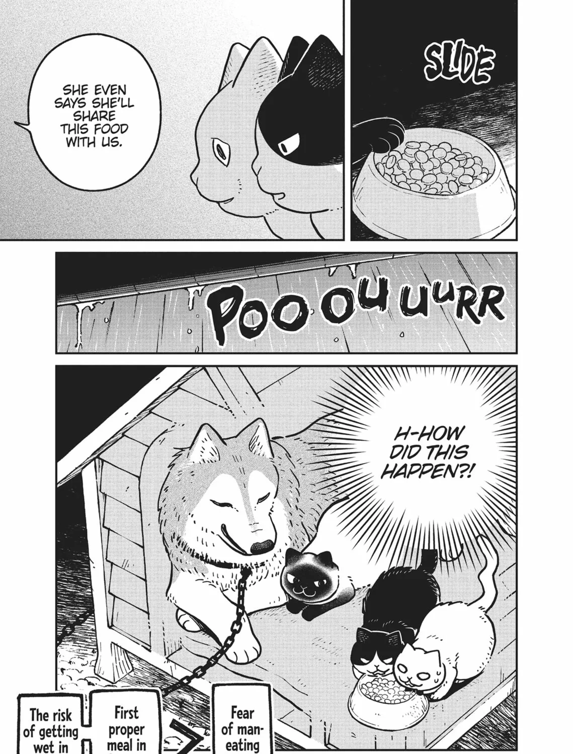 Cat Companions Maruru and Hachi Chapter 9 page 21 - 