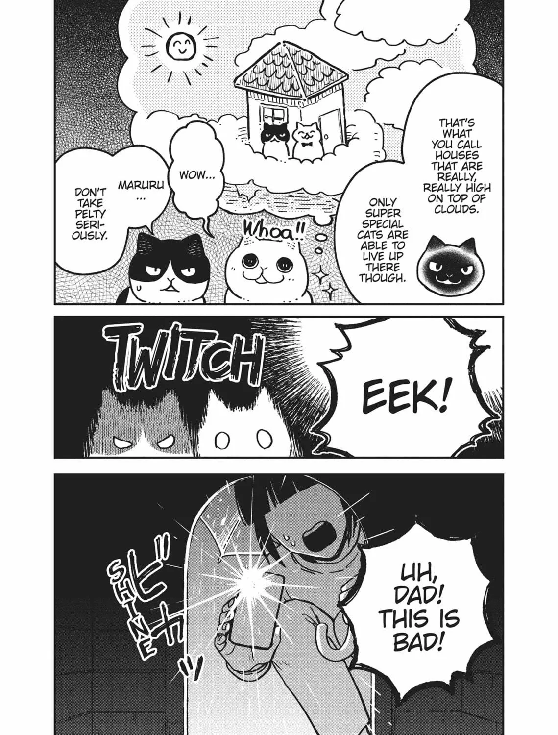 Cat Companions Maruru and Hachi Chapter 9 page 29 - 