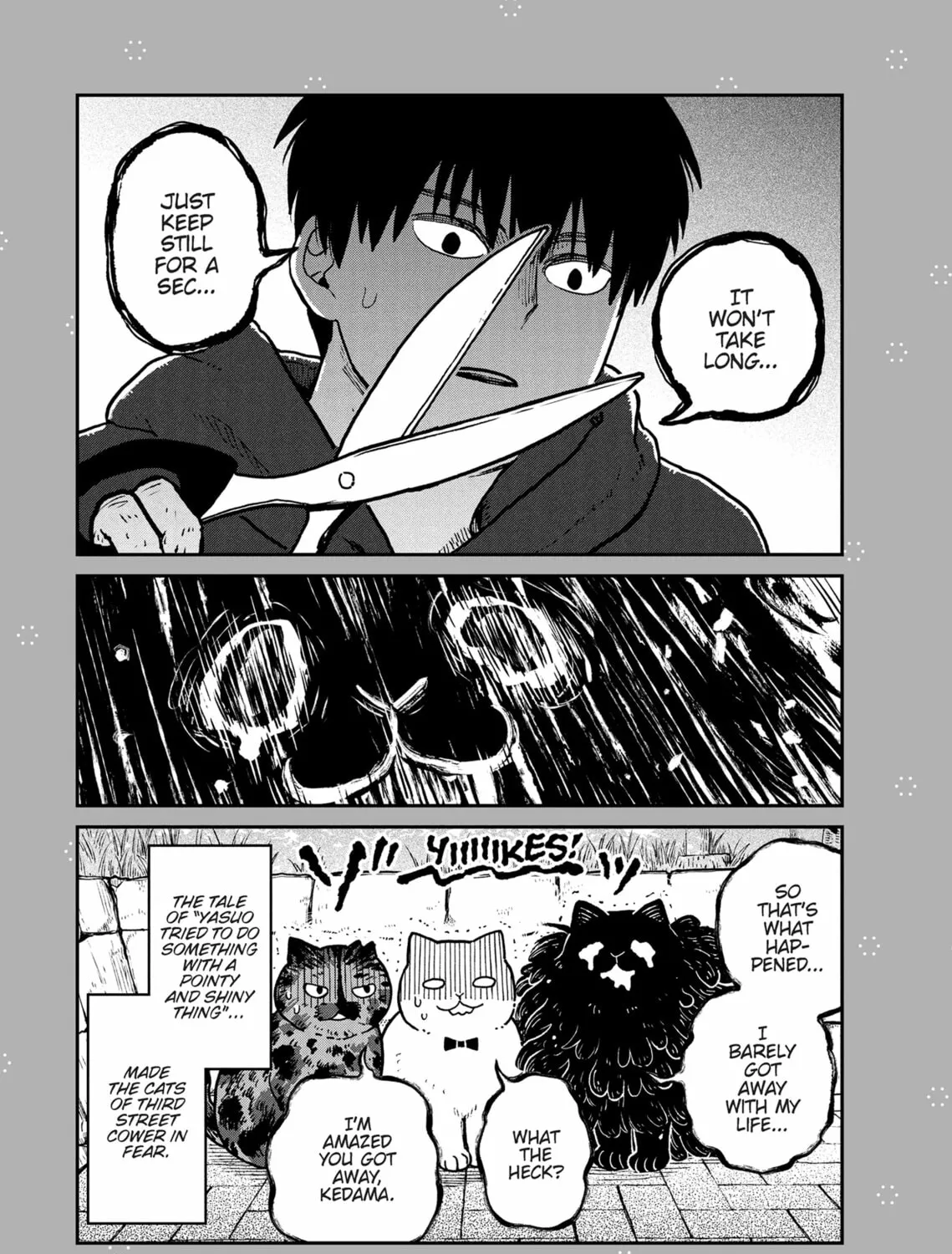 Cat Companions Maruru and Hachi Chapter 9 page 37 - 