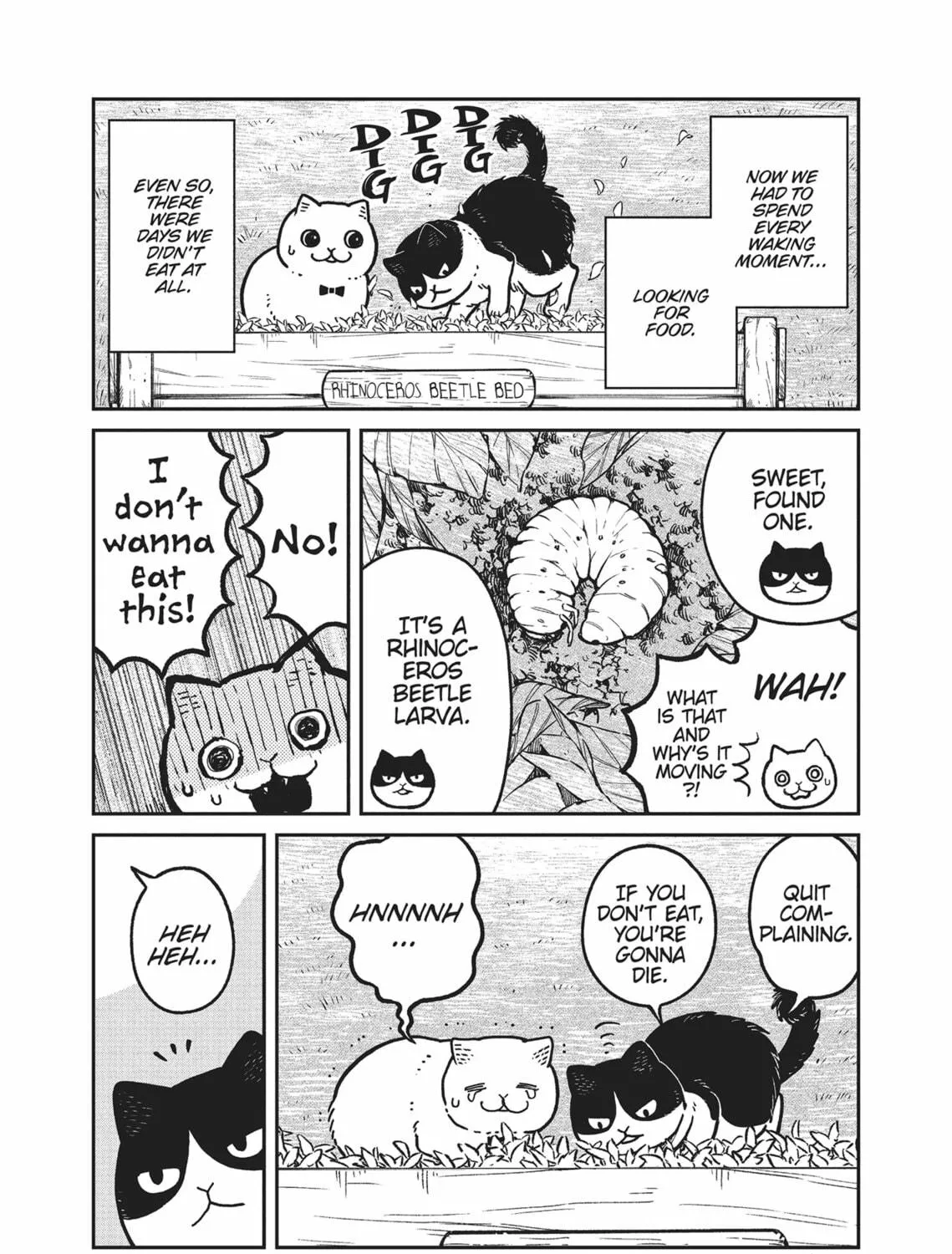 Cat Companions Maruru and Hachi Chapter 9 page 5 - 