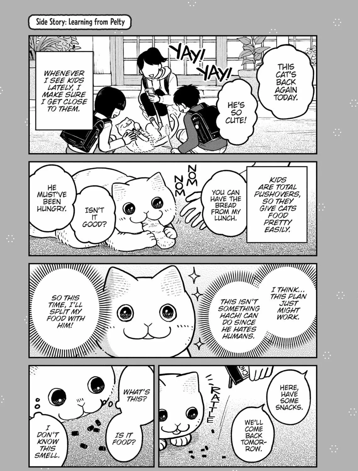 Cat Companions Maruru and Hachi Chapter 9 page 41 - 