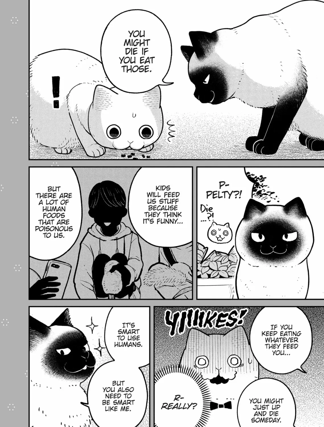 Cat Companions Maruru and Hachi Chapter 9 page 43 - 