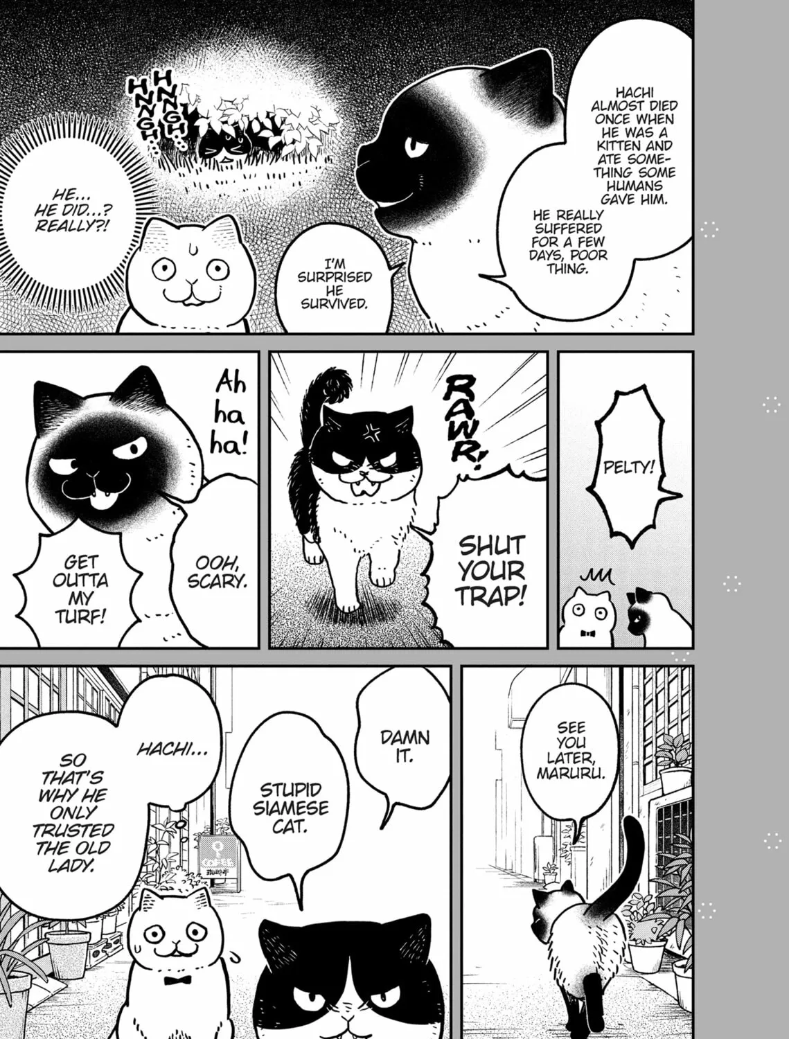 Cat Companions Maruru and Hachi Chapter 9 page 45 - 