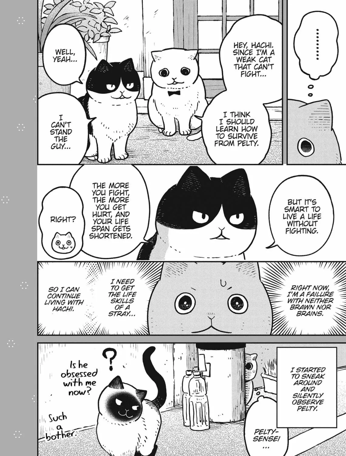 Cat Companions Maruru and Hachi Chapter 9 page 47 - 