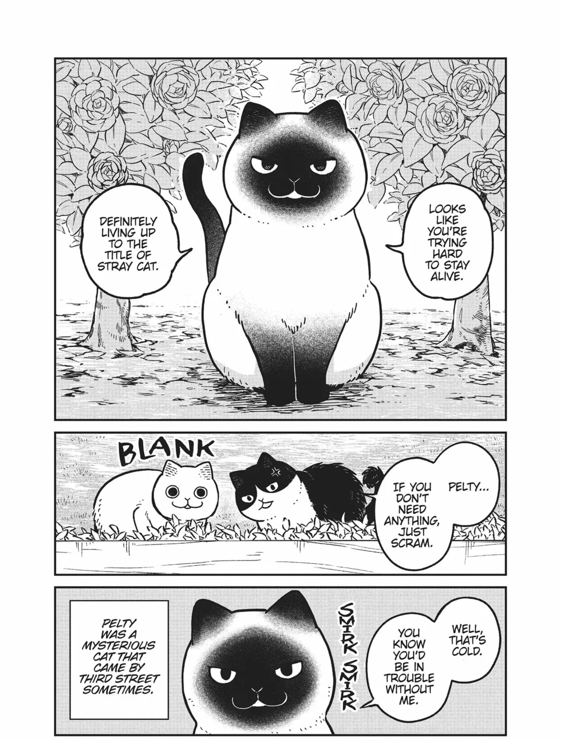 Cat Companions Maruru and Hachi Chapter 9 page 7 - 