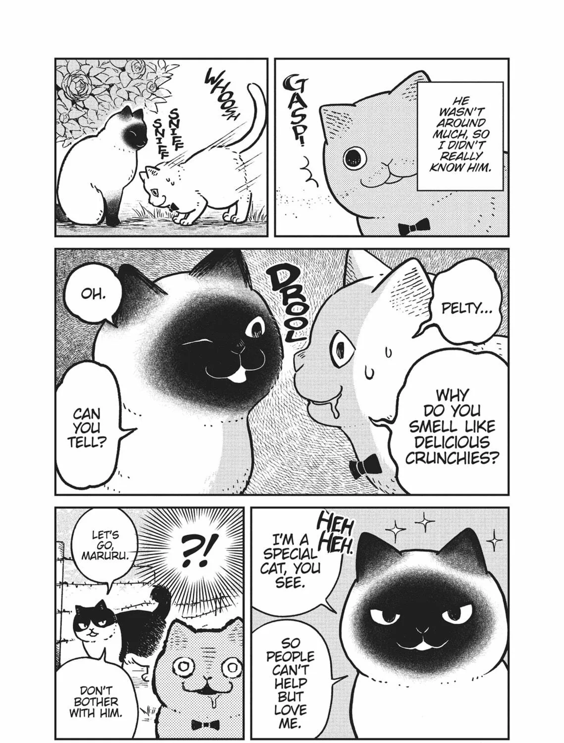 Cat Companions Maruru and Hachi Chapter 9 page 9 - 