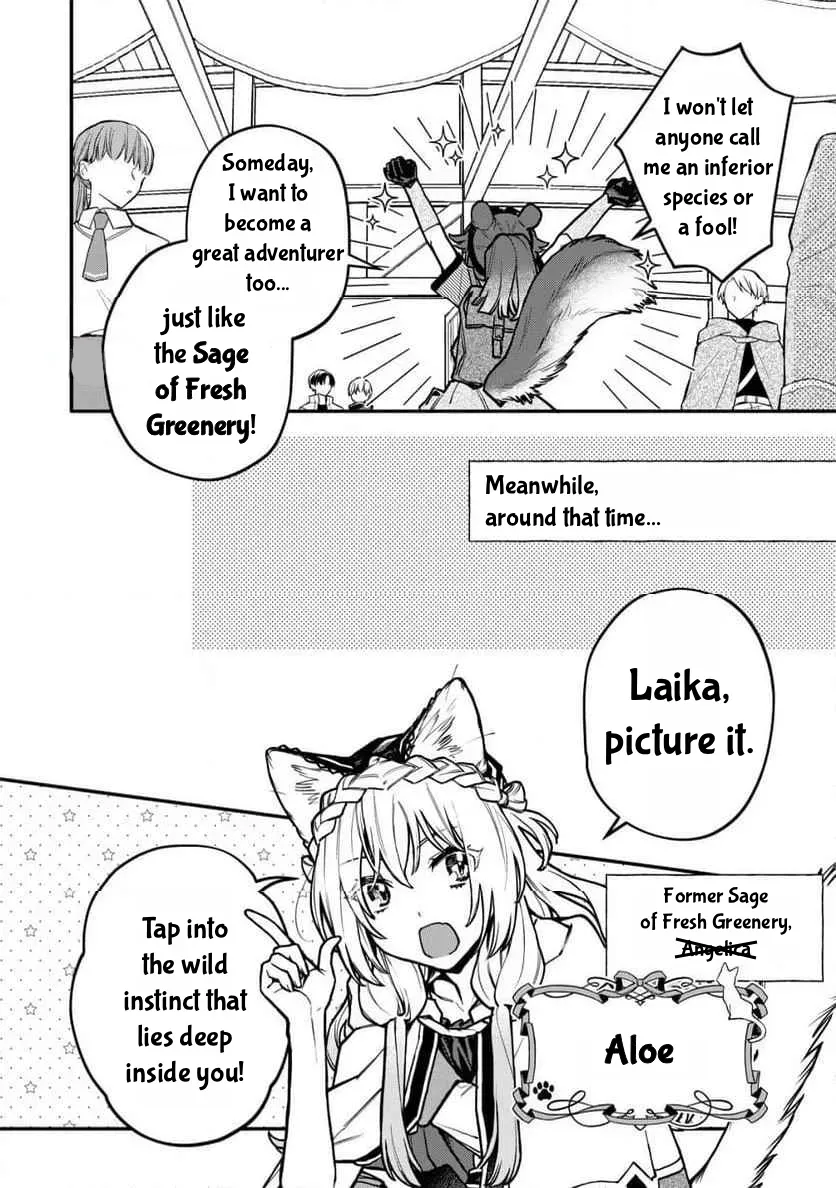 Cat Magic Is Going to Revolutionize the World, Right? ~If I