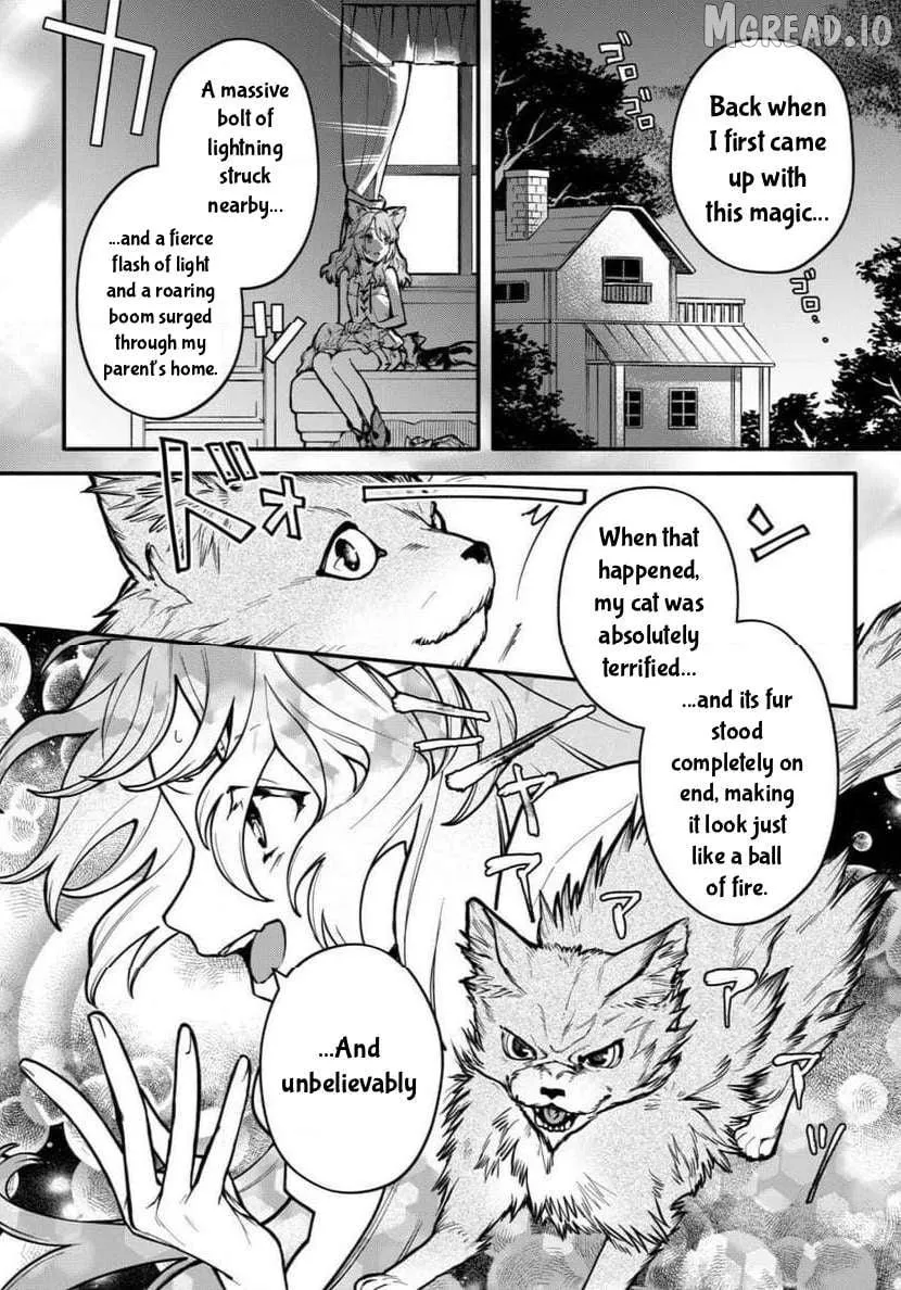 Cat Magic is Going to Revolutionize the World, Right? ~If I