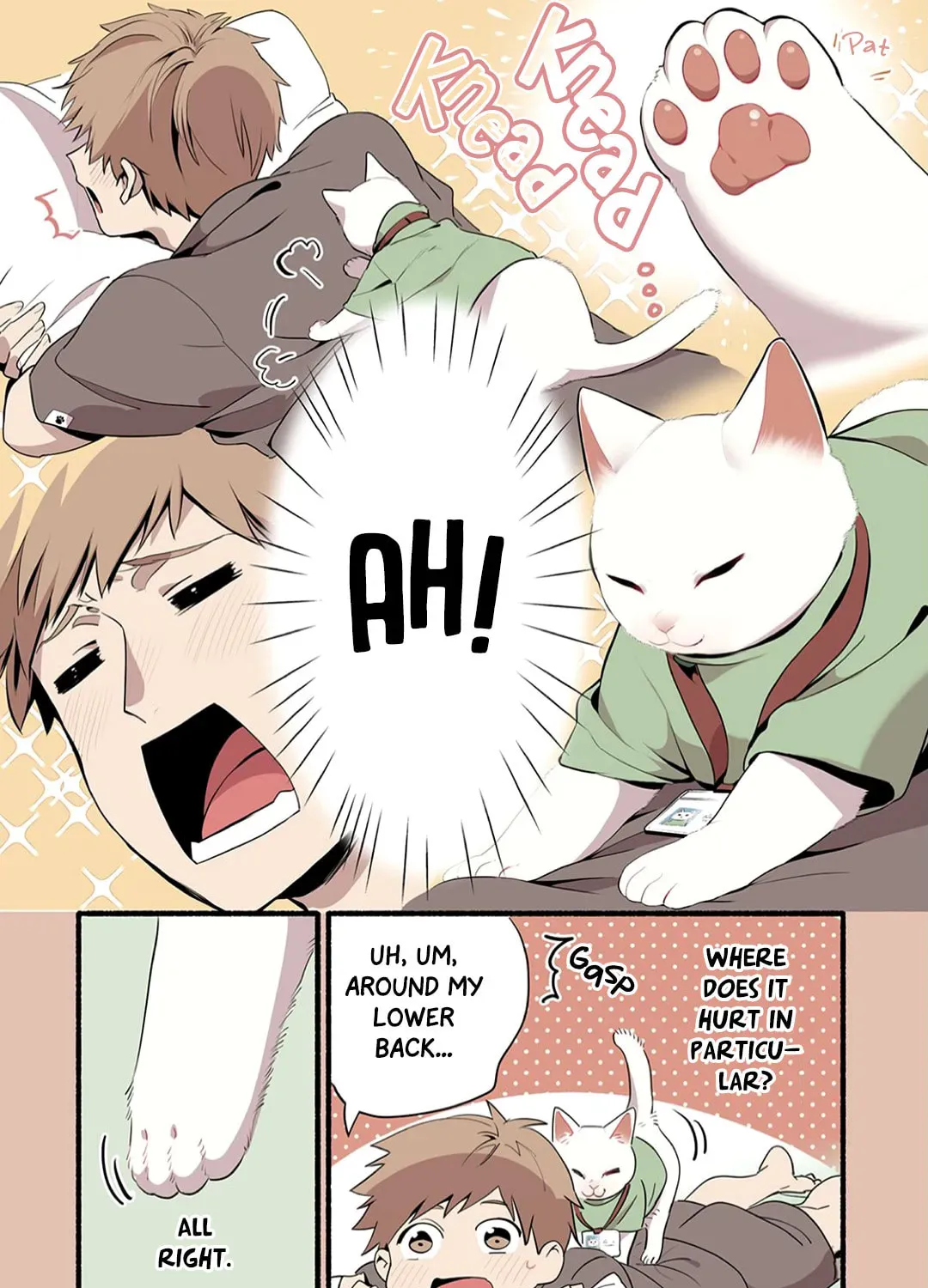Cat Massage Therapy (Colored) Chapter 1 page 16 - 