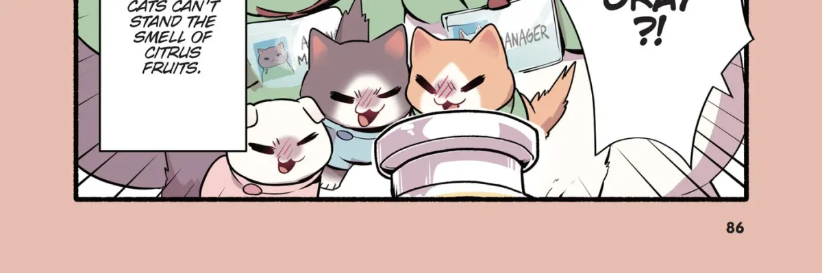 Cat Massage Therapy (Colored) Chapter 25 page 16 - 