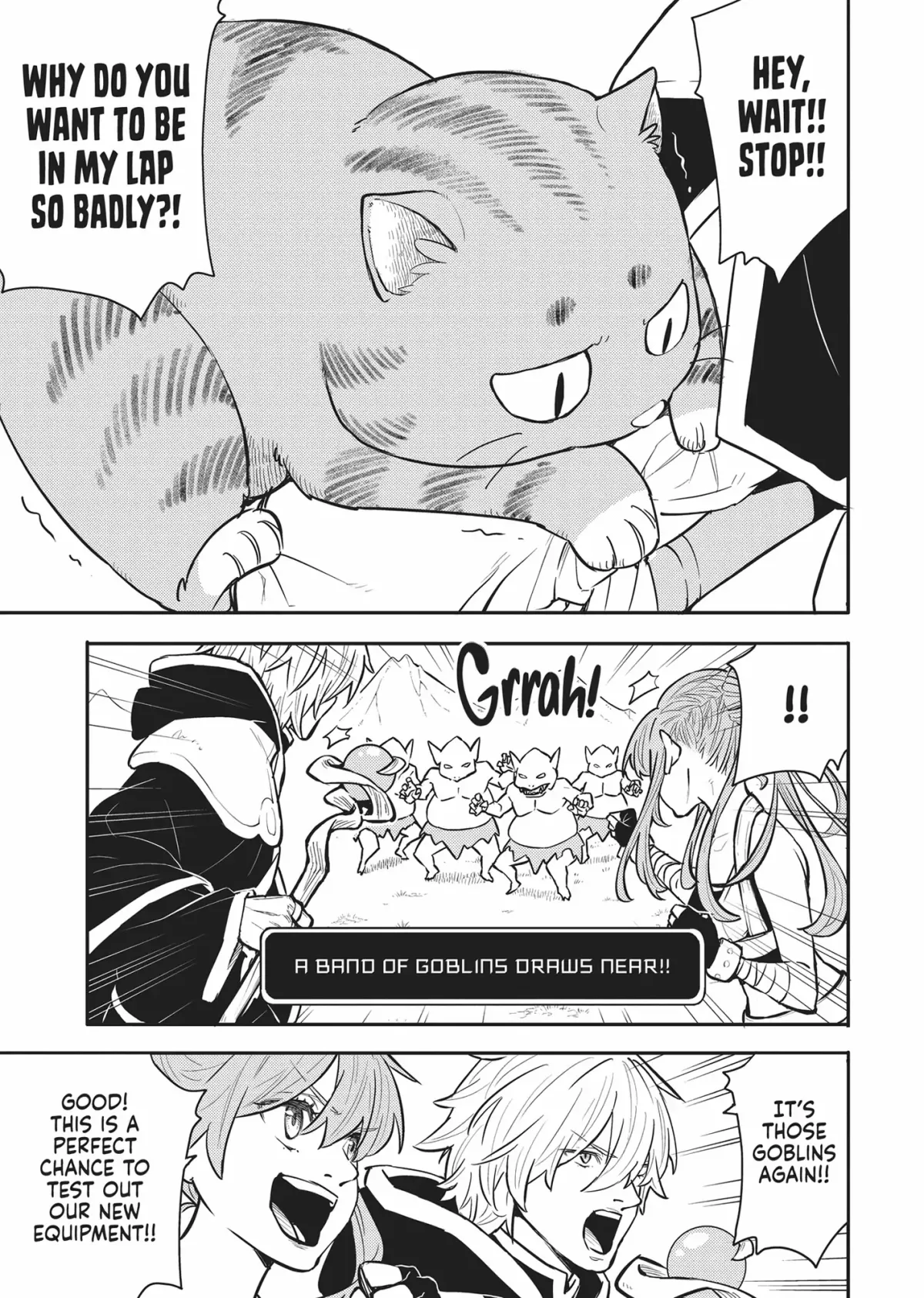 Cat on the Hero
