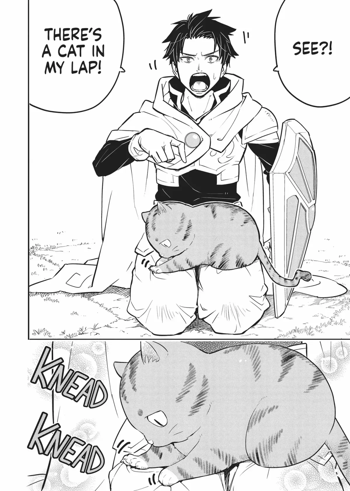 Cat on the Hero