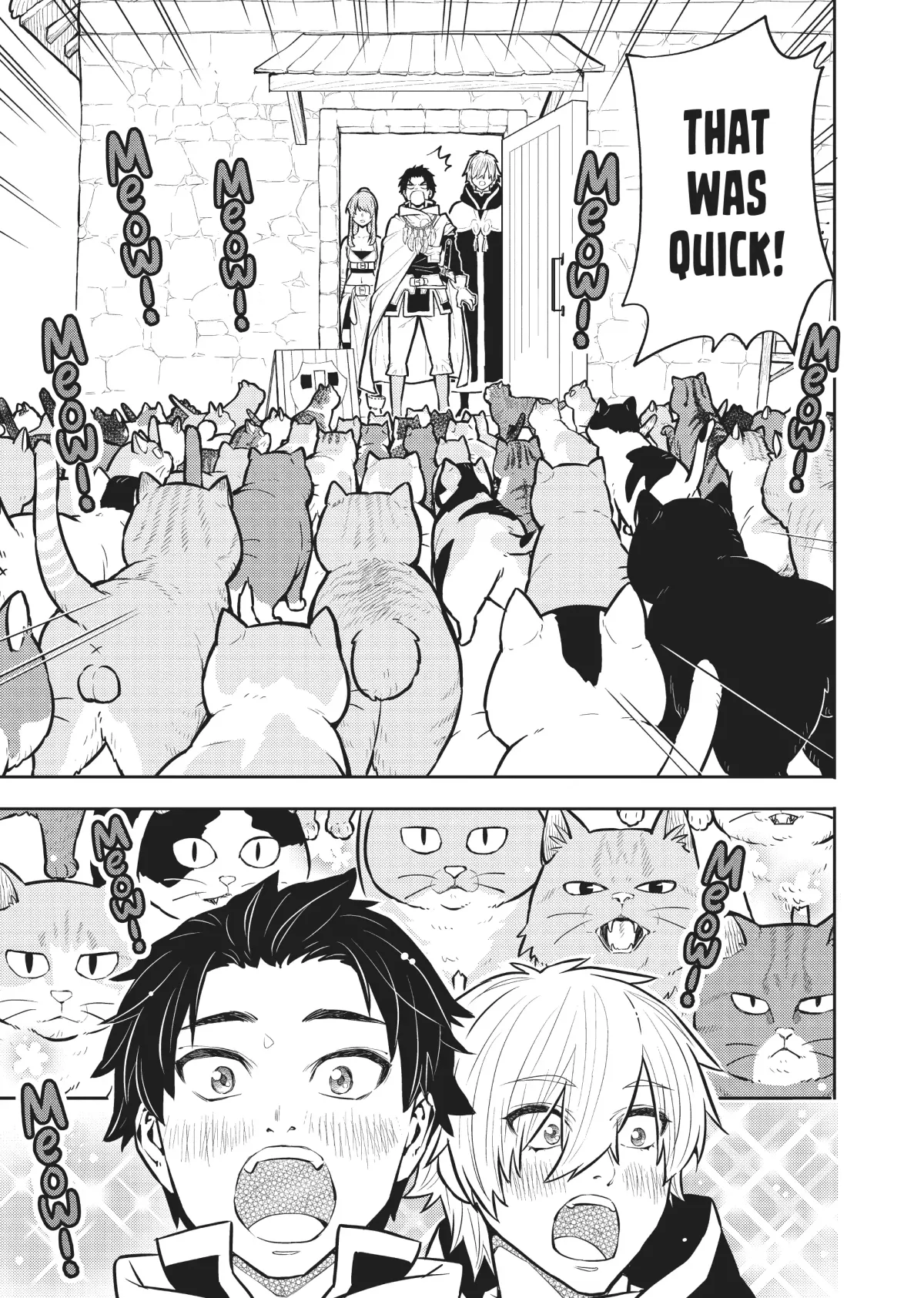 Cat on the Hero
