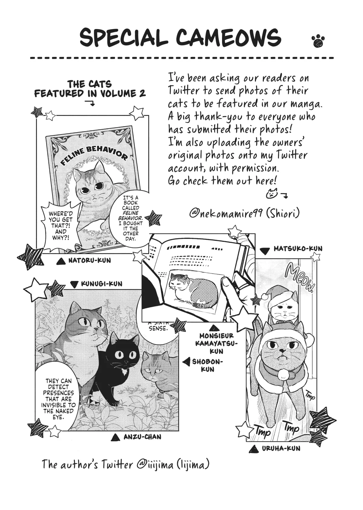 Cat on the Hero