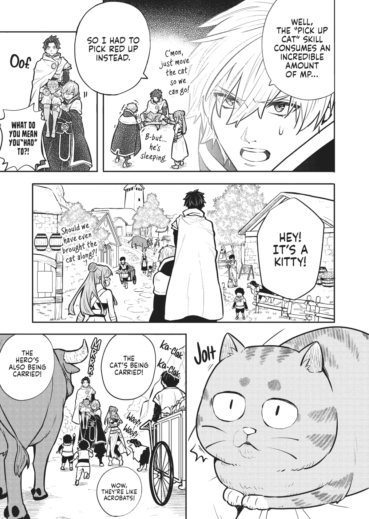 Cat on the Hero
