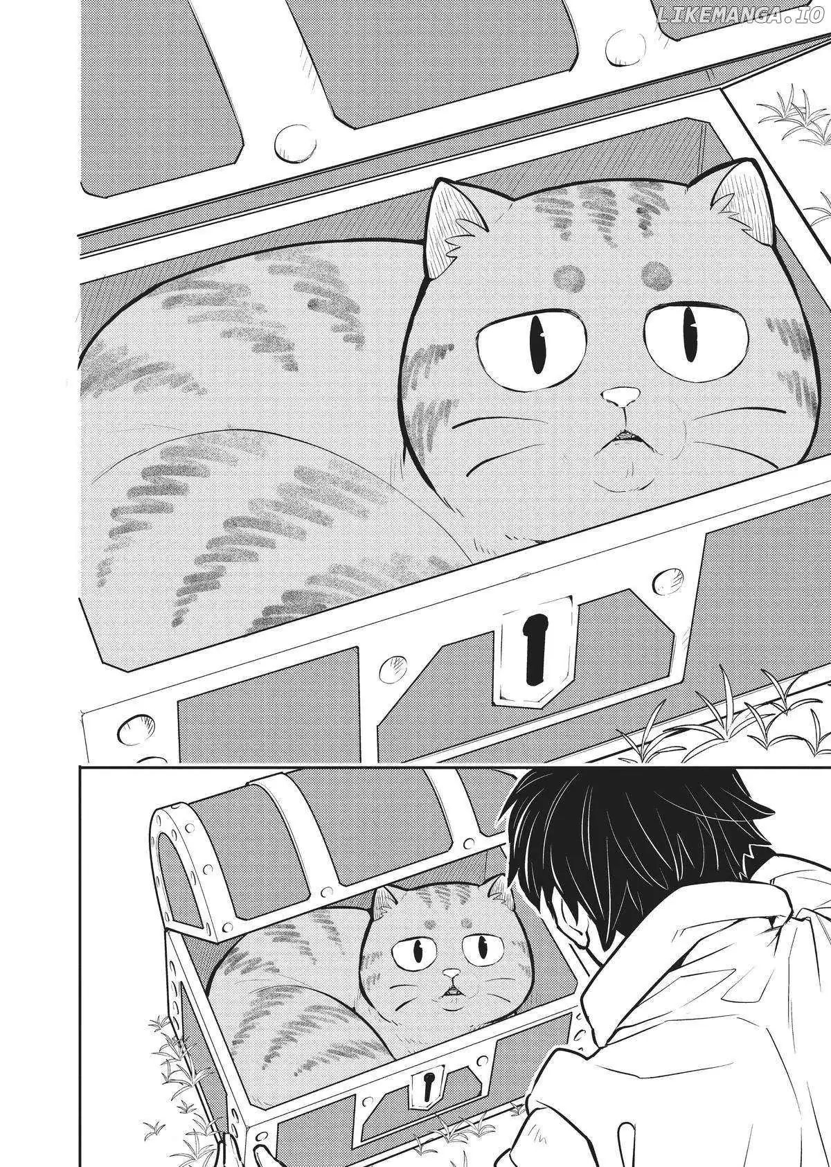 Cat on the Hero