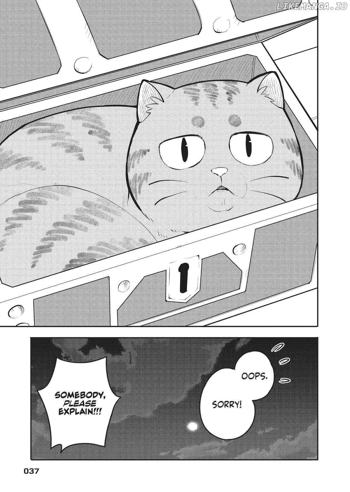 Cat on the Hero