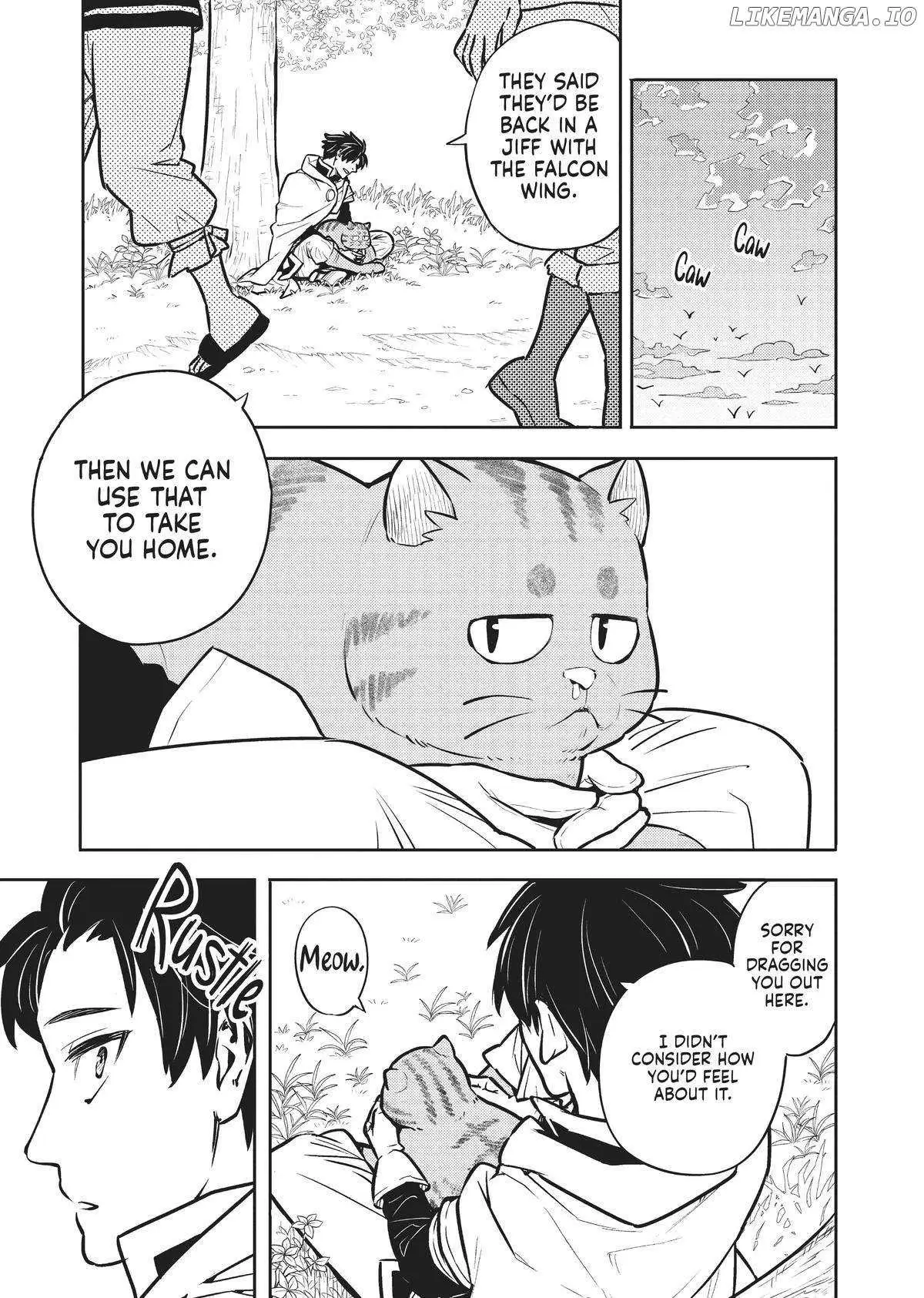 Cat on the Hero