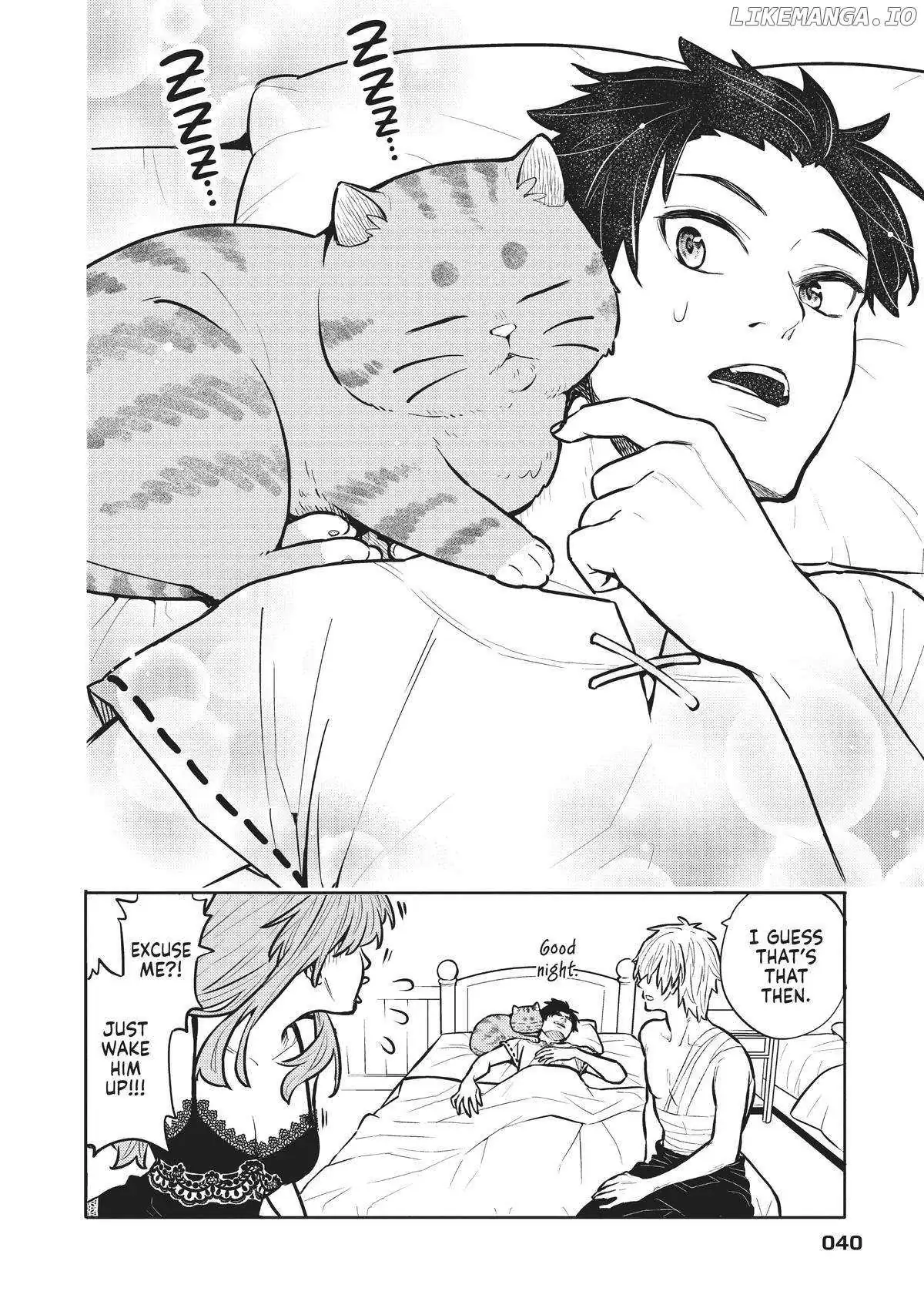 Cat on the Hero
