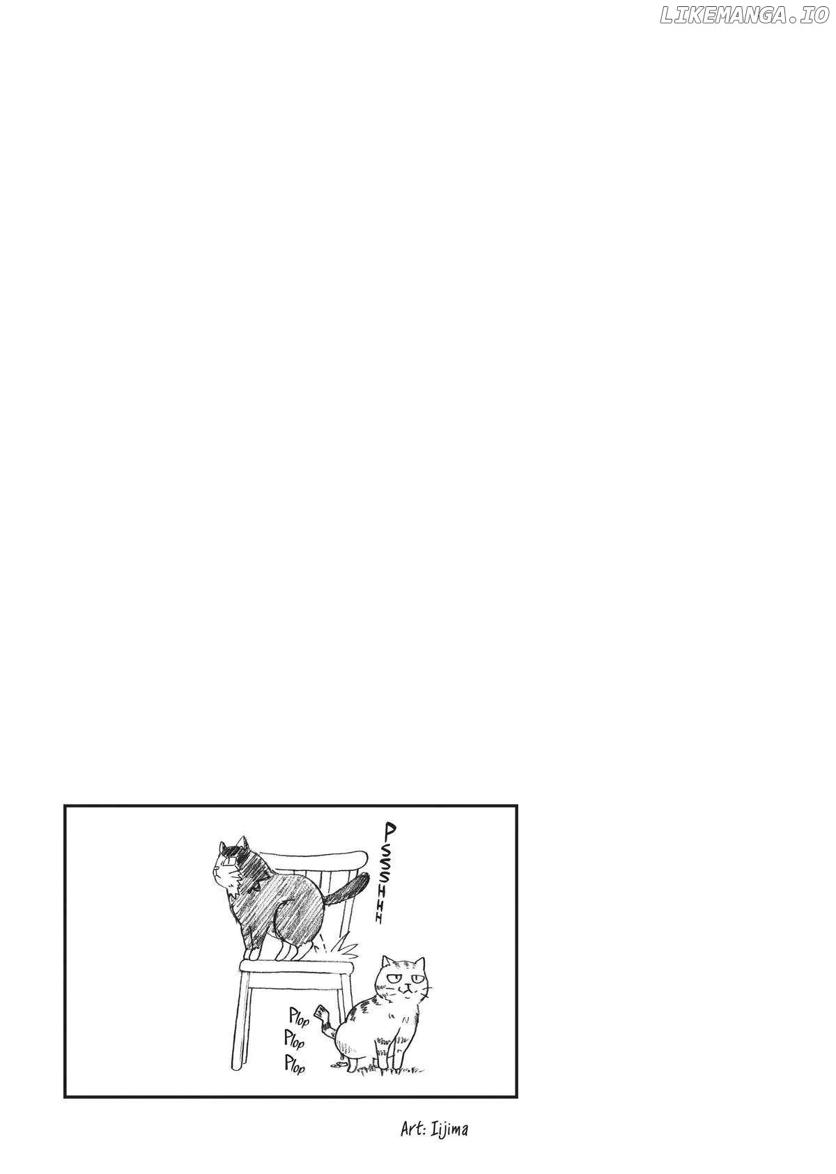 Cat on the Hero