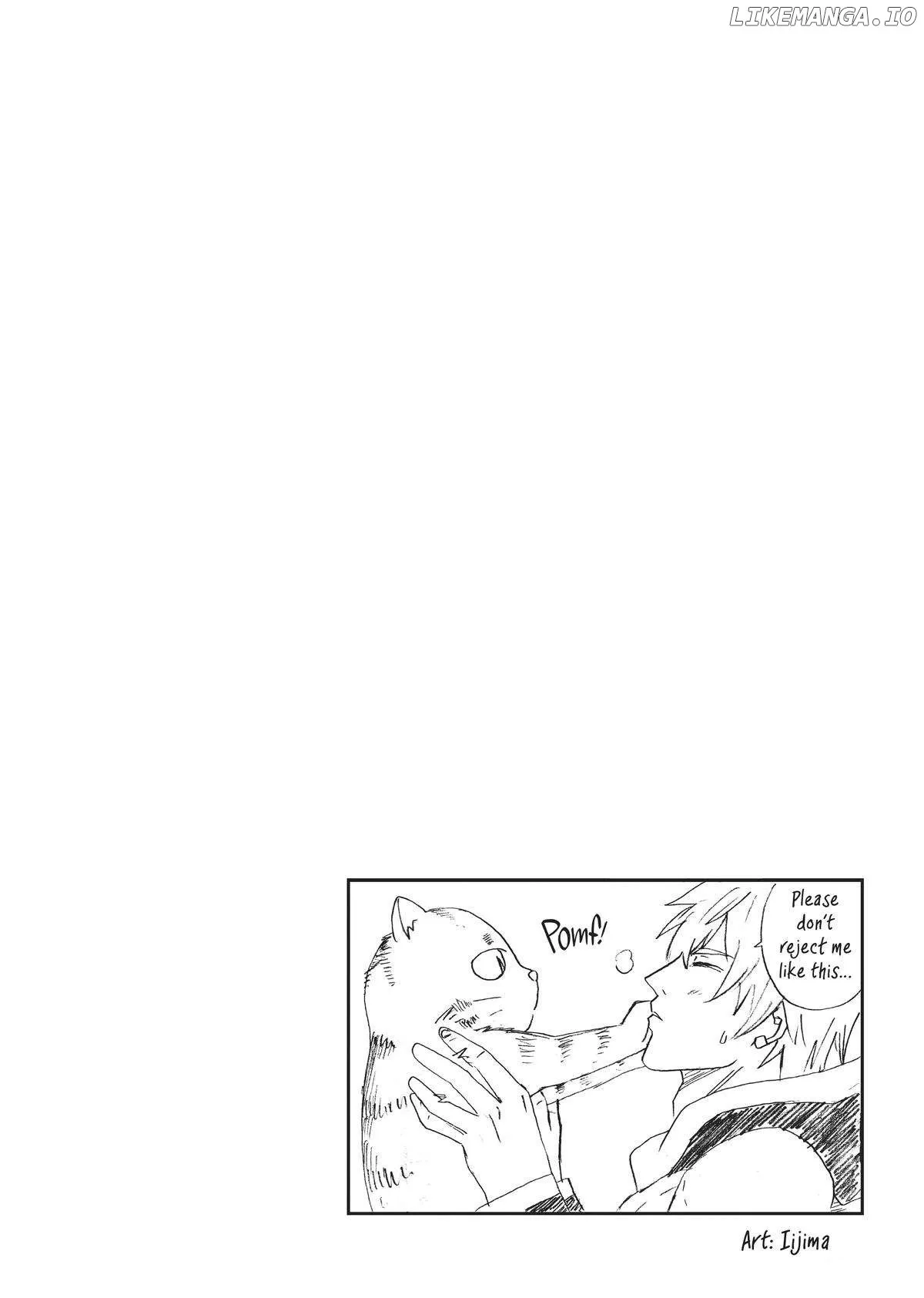 Cat on the Hero
