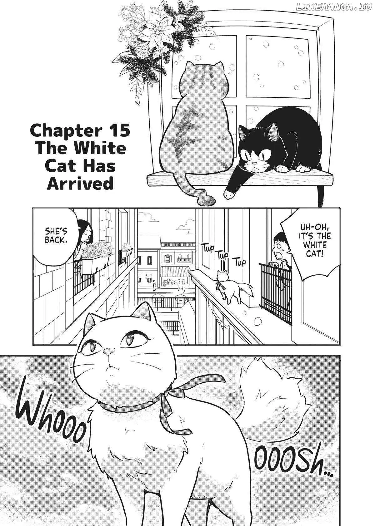 Cat on the Hero