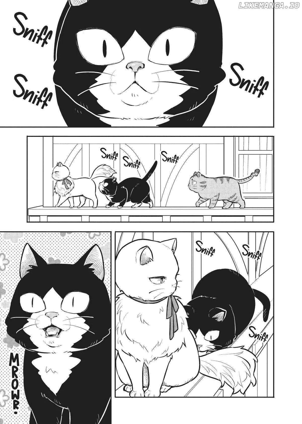 Cat on the Hero