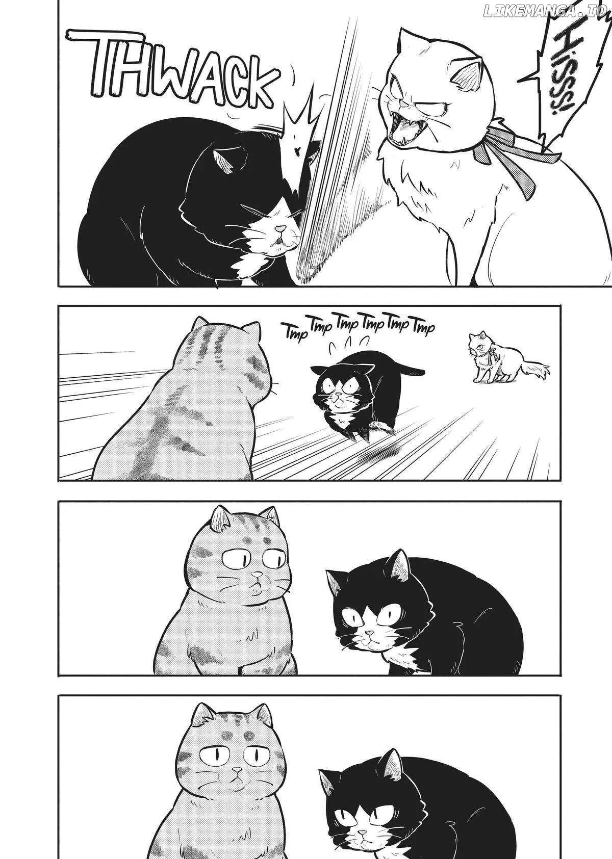 Cat on the Hero