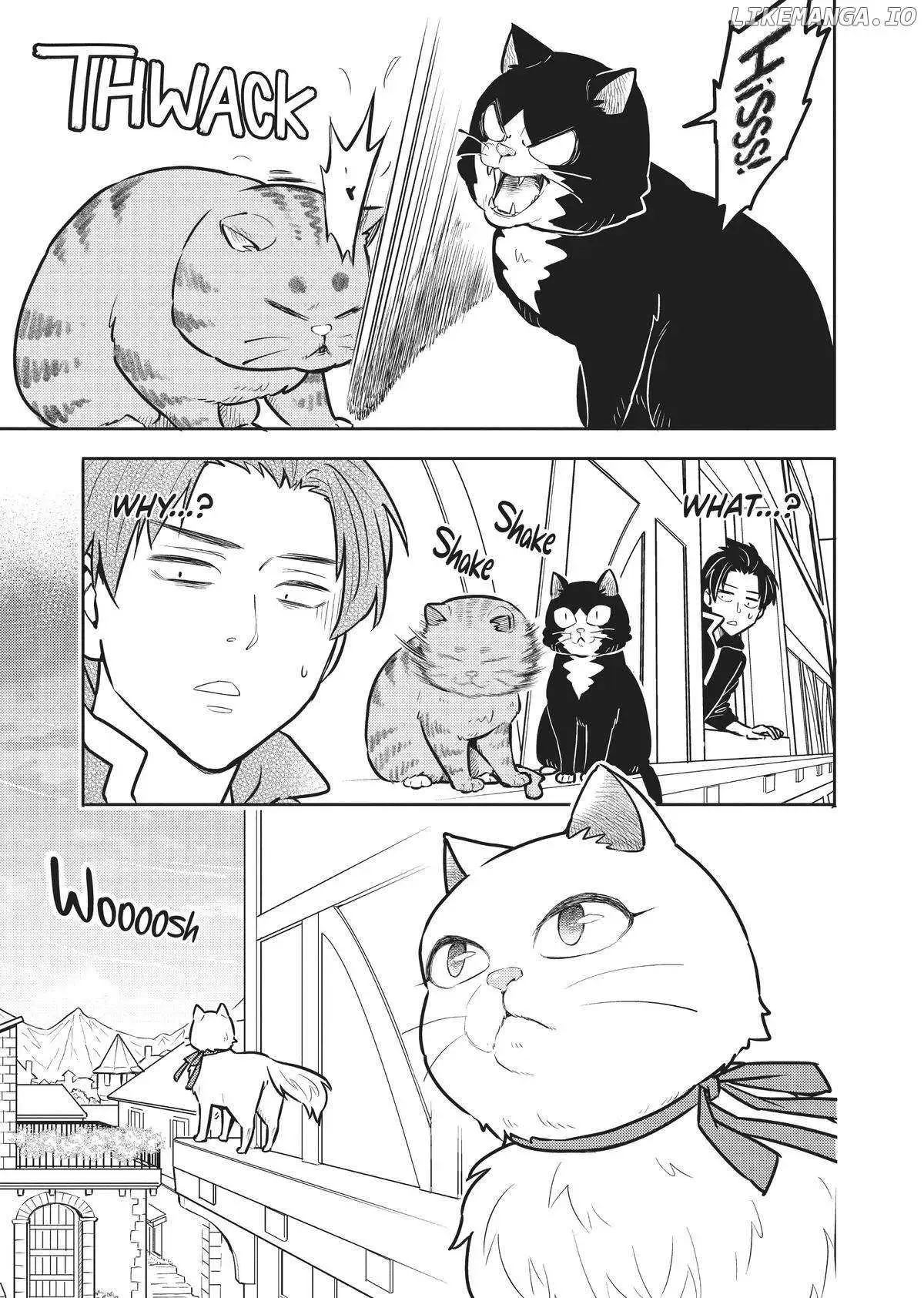 Cat on the Hero